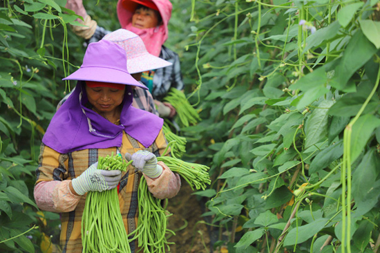 跟着总书记看中国｜像爱护自己的眼睛一样爱护民族团结