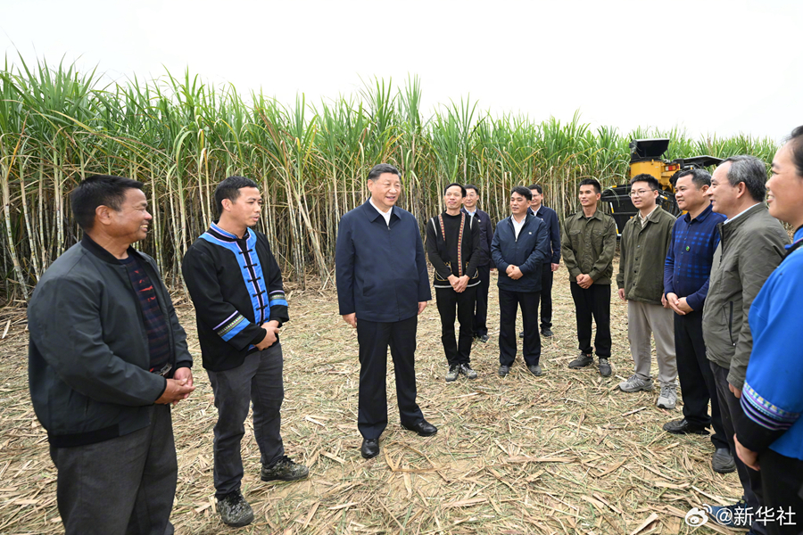 习近平在广西来宾市考察调研