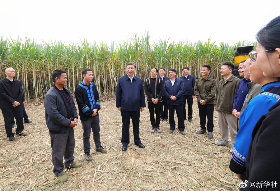 习近平在广西来宾市考察调研