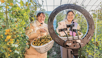 直播助农拓销路