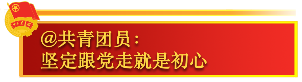 关于共青团工作，总书记这样嘱托