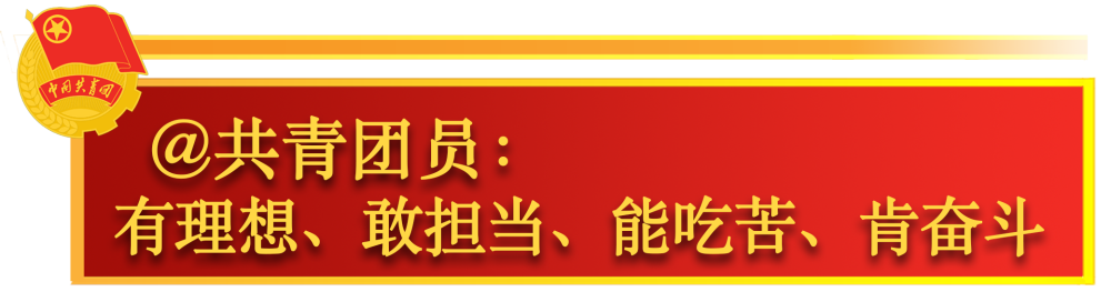 关于共青团工作，总书记这样嘱托