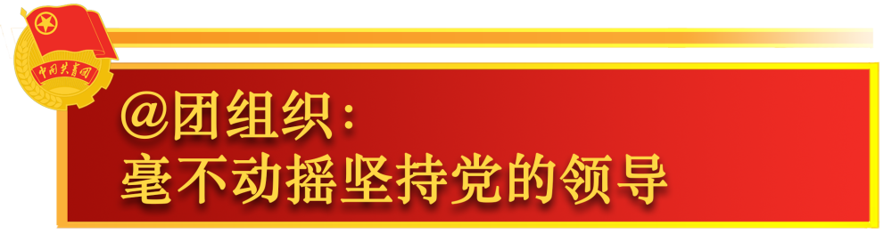 关于共青团工作，总书记这样嘱托