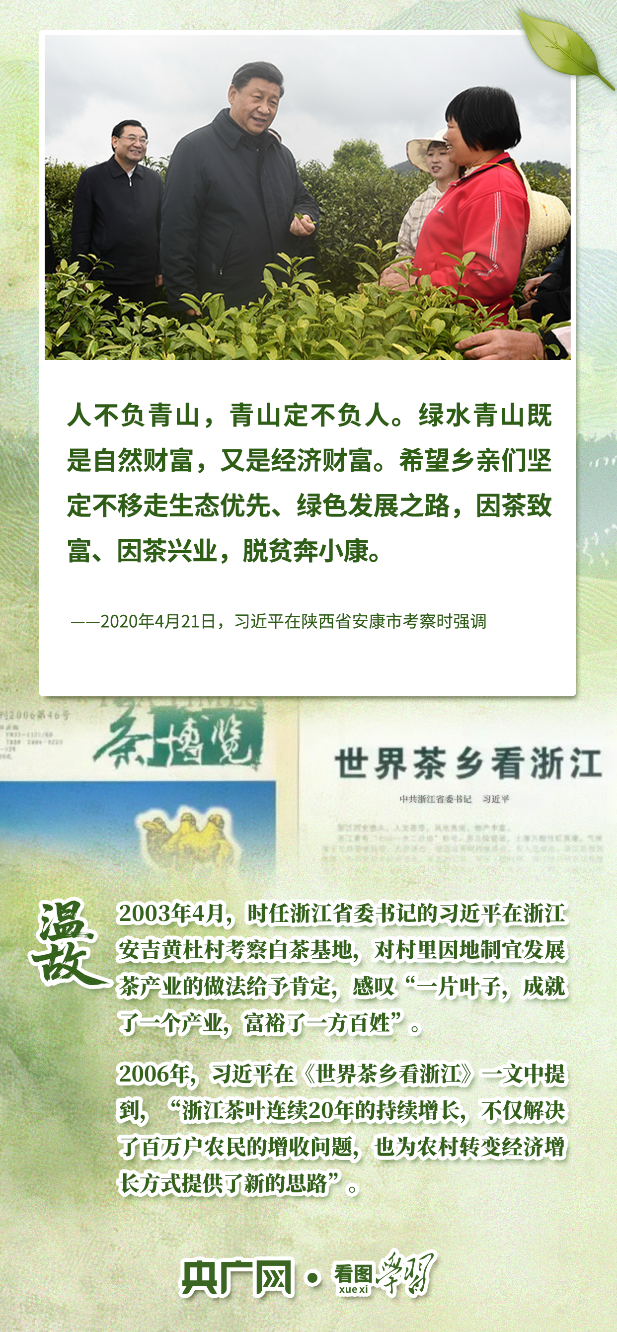 看图学习·文脉华章丨从致富叶子到文化名片 听总书记谈茶论道
