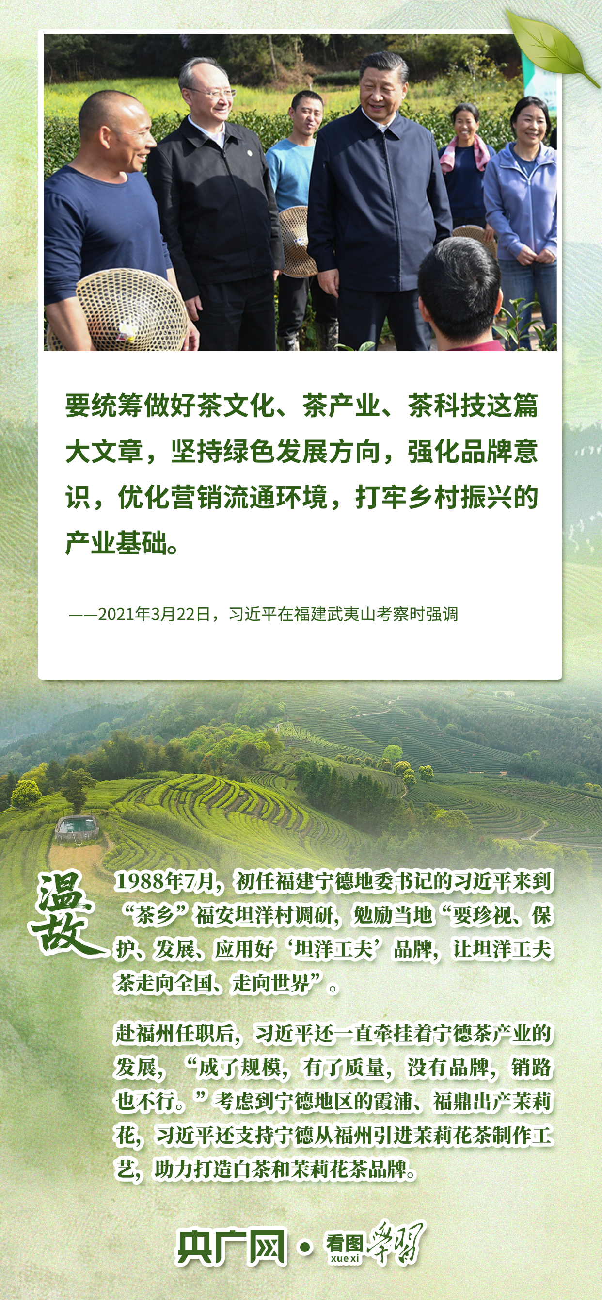 看图学习·文脉华章丨从致富叶子到文化名片 听总书记谈茶论道