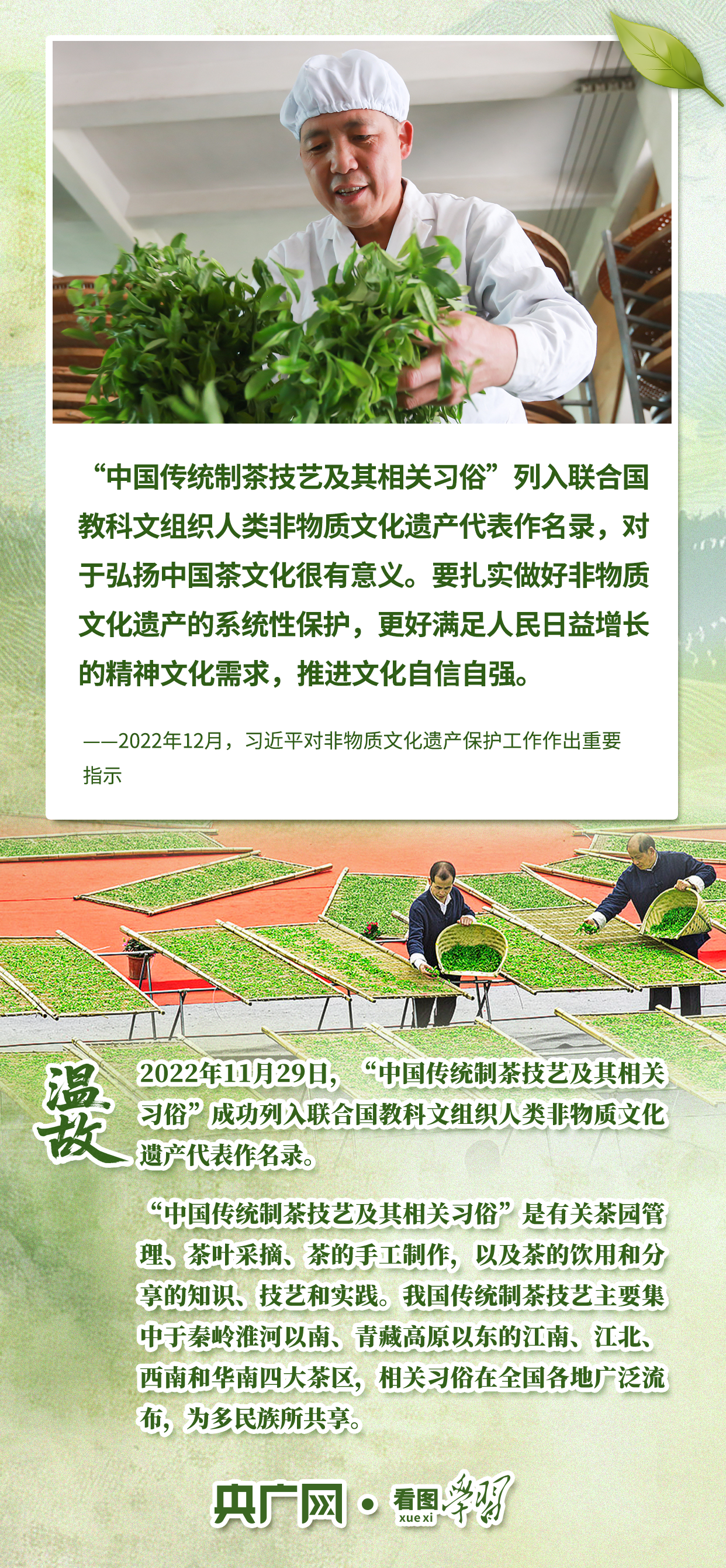 看图学习·文脉华章丨从致富叶子到文化名片 听总书记谈茶论道