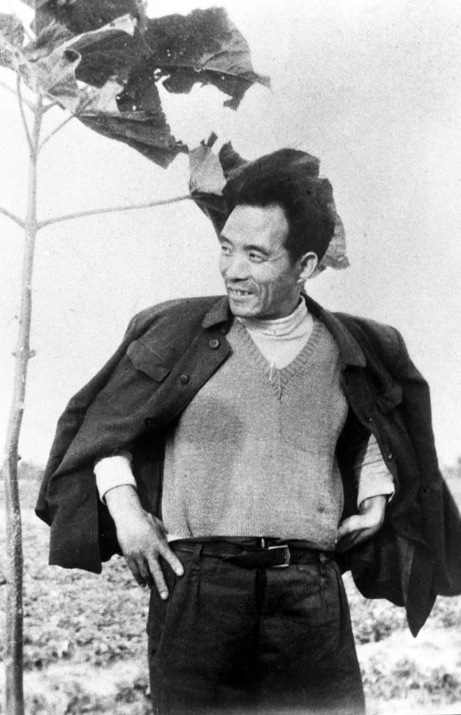 1963年的春天，焦裕禄身披上衣、双手叉腰，身旁是一株刚刚栽下的泡桐树苗。（资料图）